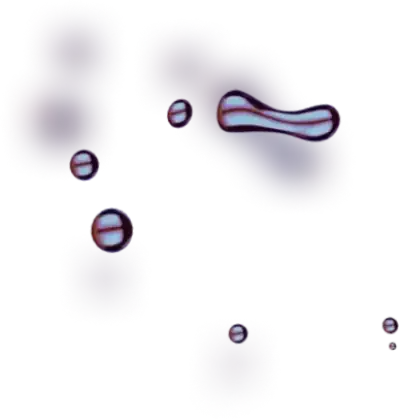 Fintradix - Unleash Your Trading Power and Maximize Profits with Fintradix Gas Take Charge of Your Trades Today