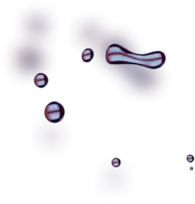 Fintradix - Unleash Your Trading Power and Maximize Profits with Fintradix Gas Take Charge of Your Trades Today