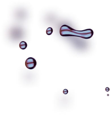 Fintradix - Meet the Dedicated Experts Shaping Our Innovative Team